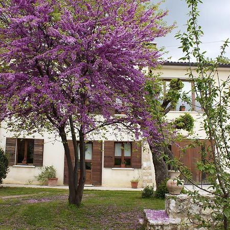 B&B Altè Paderno del Grappa Exterior foto